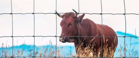 Vallador y cercados Vallado de fincas Madrid Cerramientos metalicos, Cercados Mallas y vallas fincasyparcelas Vallador y cercados Vallado de fincas Madrid Cerramientos metalicos, Cercados Mallas y vallas fincasyparcelas